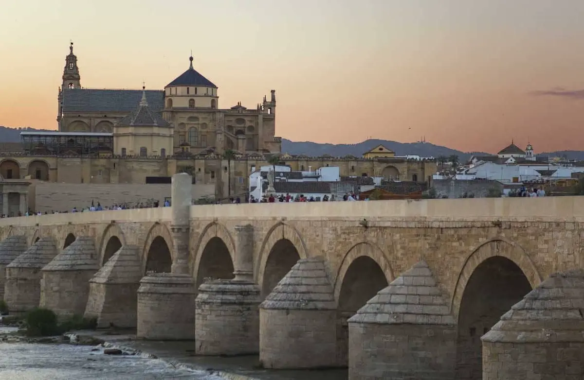 consultor seo en Cordoba