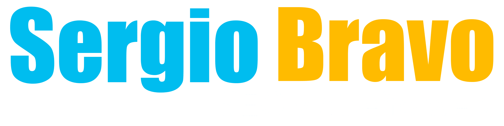 Sergio Bravo Consultor SEO